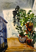 Skylight by Mariam De Giorgio — potted green plants in a sunlit corner beside a dark blue wrought-iron gate