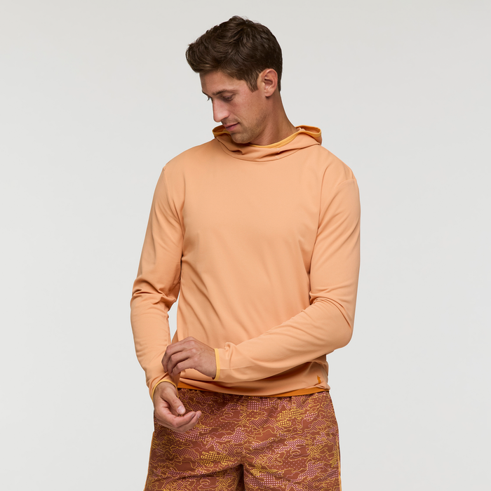 Apricot / S