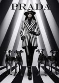Model in a black and white striped suit with four dogs, promoting Stripes by Prada on a bold striped background.