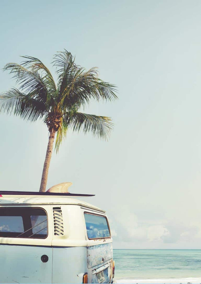 Vintage van with surfboard parked on a beach by the ocean, palm tree in background under clear sky.