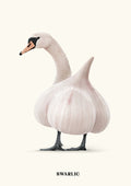 Swarlic by Jonas Loose - a mute swan's head and feet joined to a white garlic bulb on cream