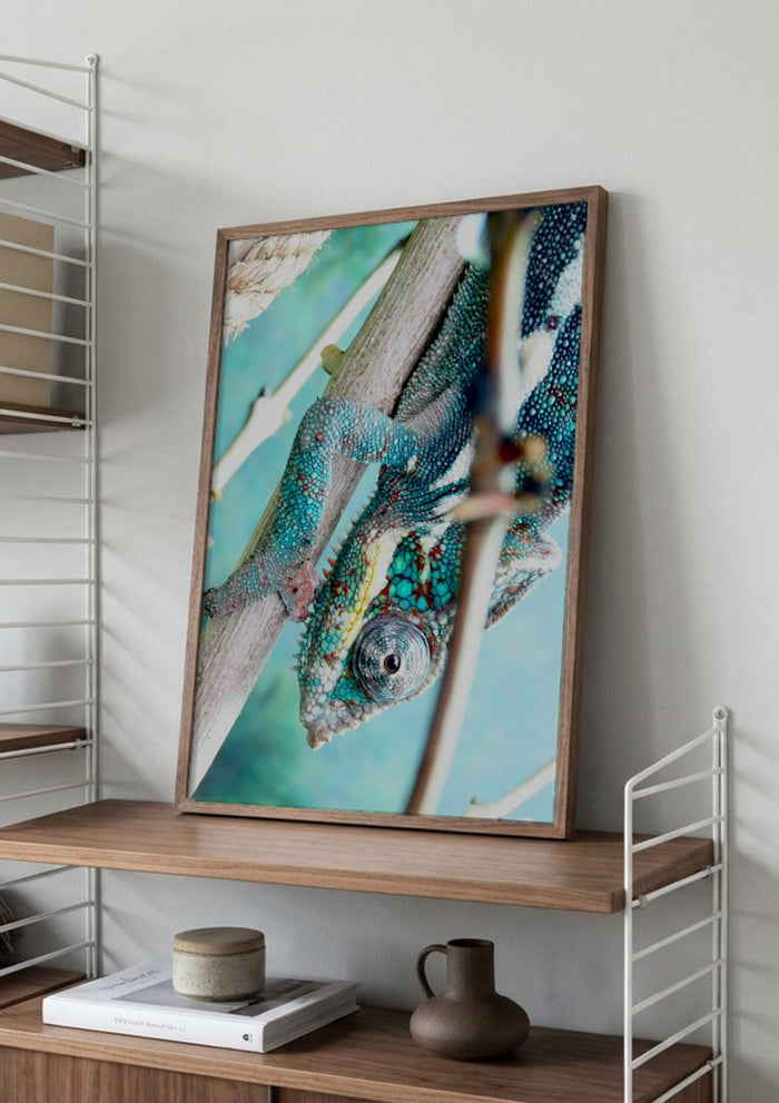 The Observer - KG Studio