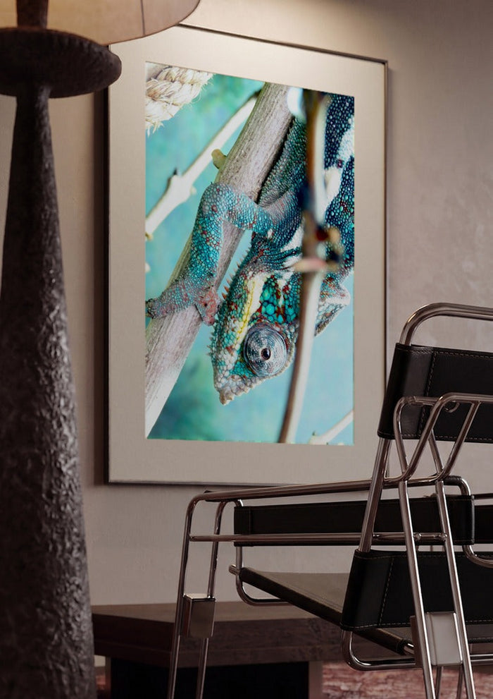 The Observer - KG Studio