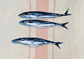 Three Blue Sardines - Madison Phipps