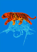 Tiger by Francisco Gualter - orange tiger on blue poster