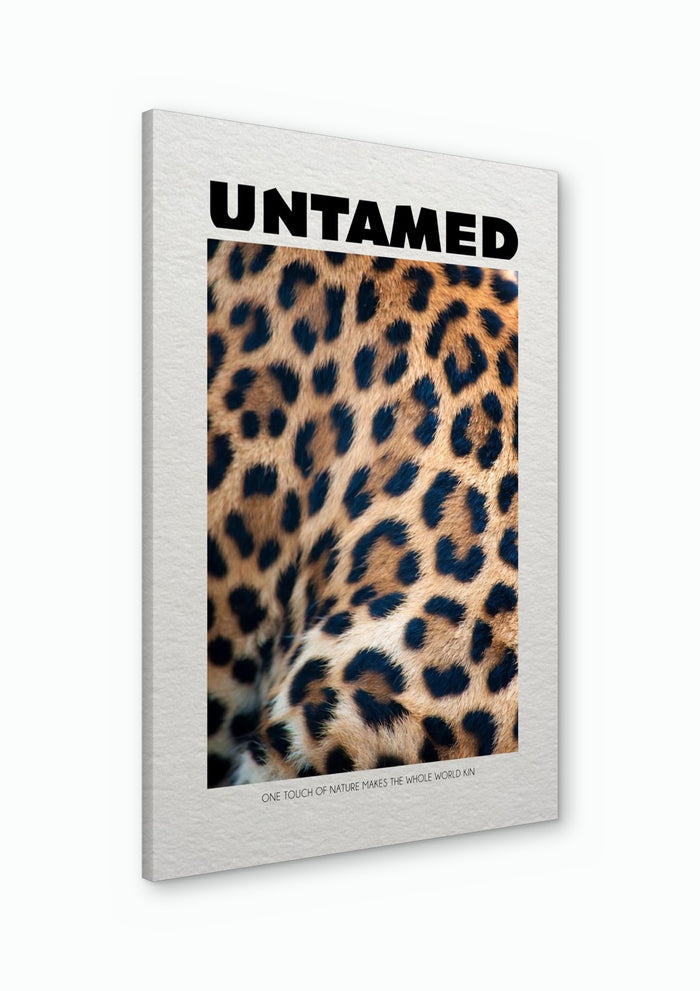 Untamed Leopard - Daniel Leo