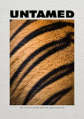 Untamed Tiger by Daniel Leo — minimalist poster with a close-up of amber tiger fur and black stripes