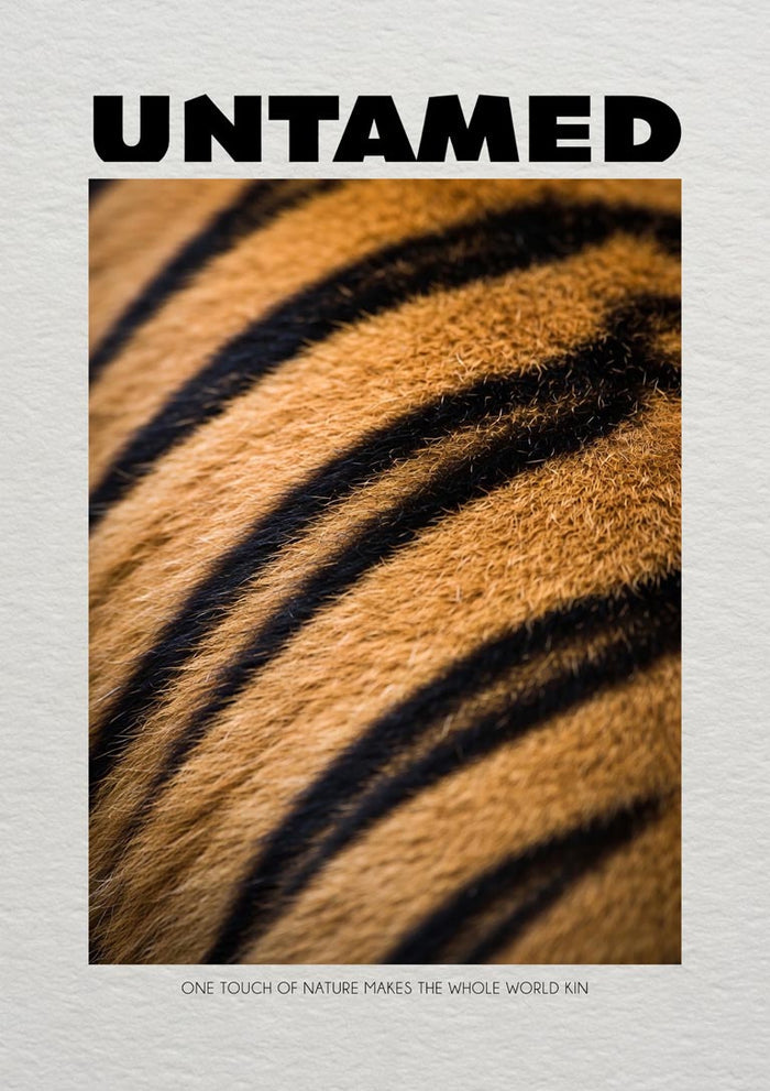 Untamed Tiger by Daniel Leo — minimalist poster with a close-up of amber tiger fur and black stripes