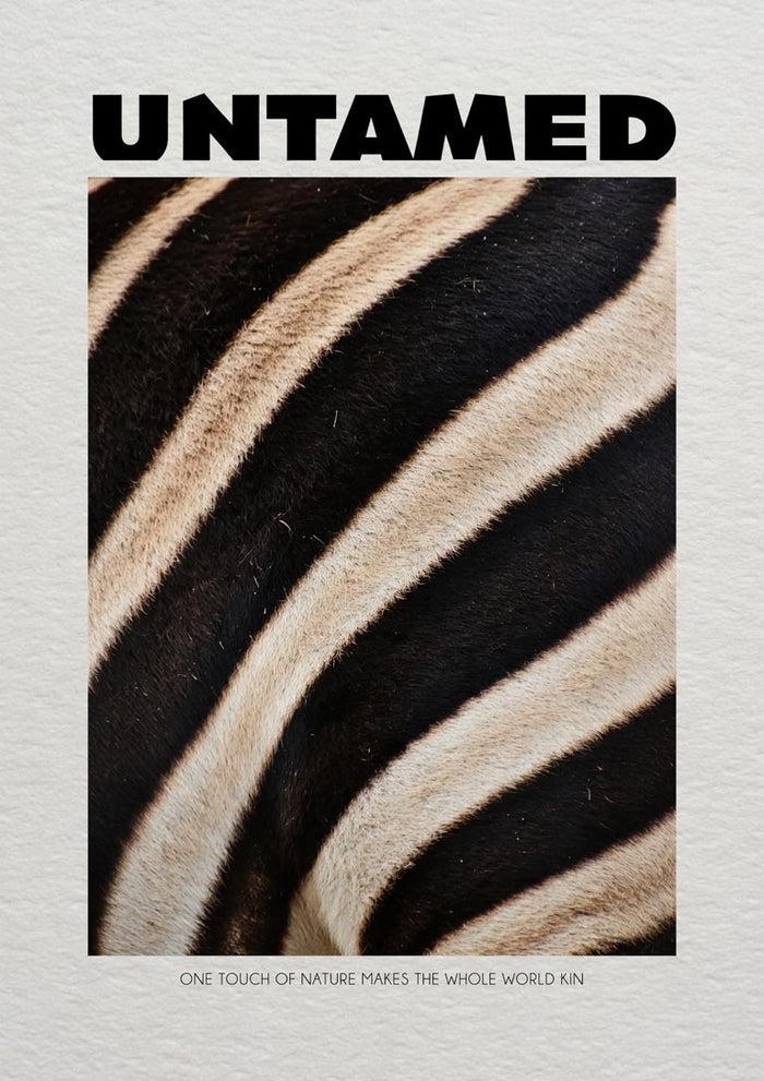 Untamed Zebra by Daniel Leo — minimalist poster with a close-up of black and cream zebra stripes