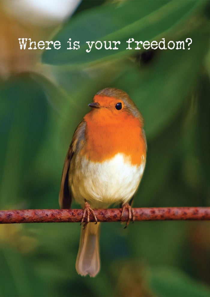 Photograph of a European robin perched on a rusty copper rod against a blurred deep green background.