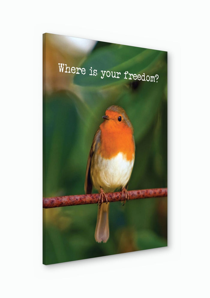 Where Is Your Freedom? - Anna Milewska