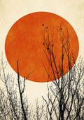 Minimalist art print "Winter Glow" by Boris Draschoff featuring bare branches against a large orange sun.
