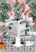 Illustration of a zebra reading Zebra News in a tropical, leafy setting with a plant and toilet paper nearby.